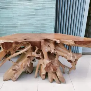 Teakwood Root Coffee Table